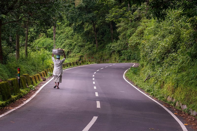 Mindful Walking in Nature